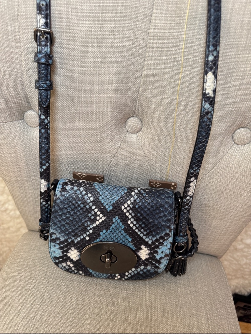 Coach Blue Snake-Print Crossbody Bag with Tassel - Picture 5 of 9